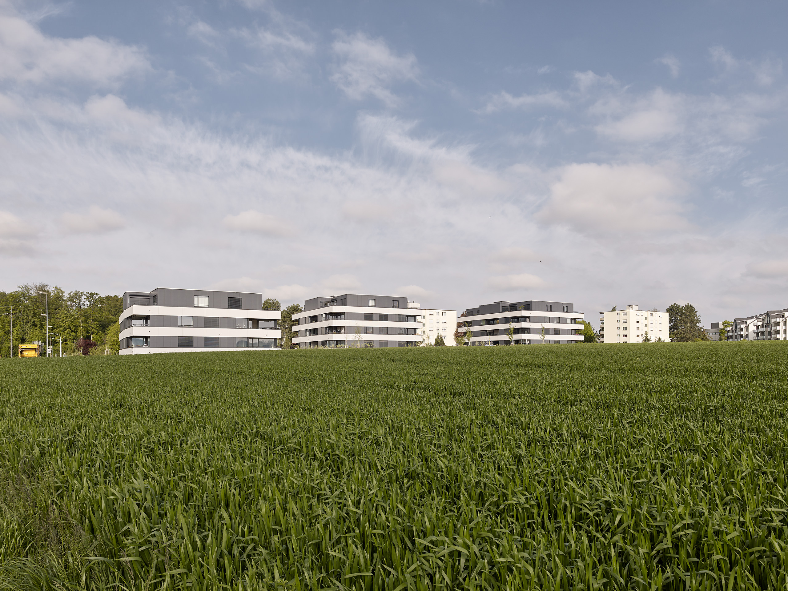 E18686 Alpa 088548 SCREEN